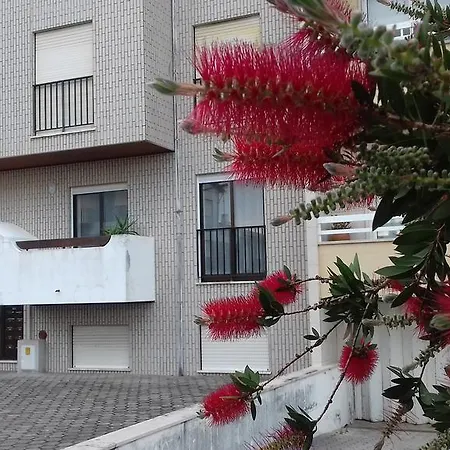 Apartment Blue Ocean