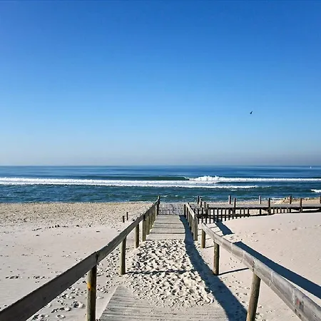 Blue Ocean * Barra
